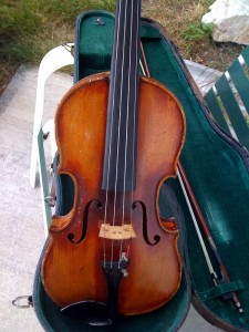 Violin looking at the top